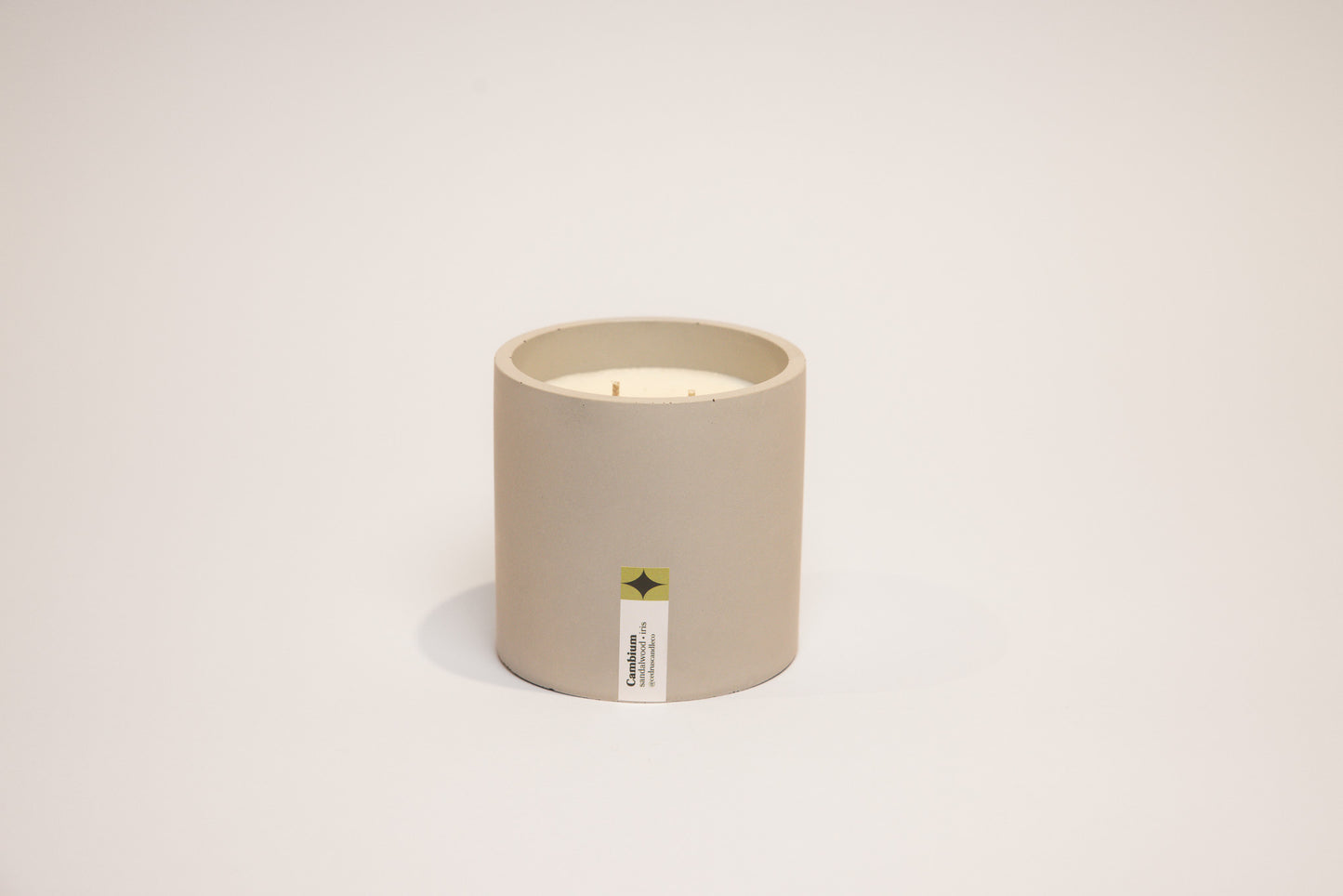 Cambium