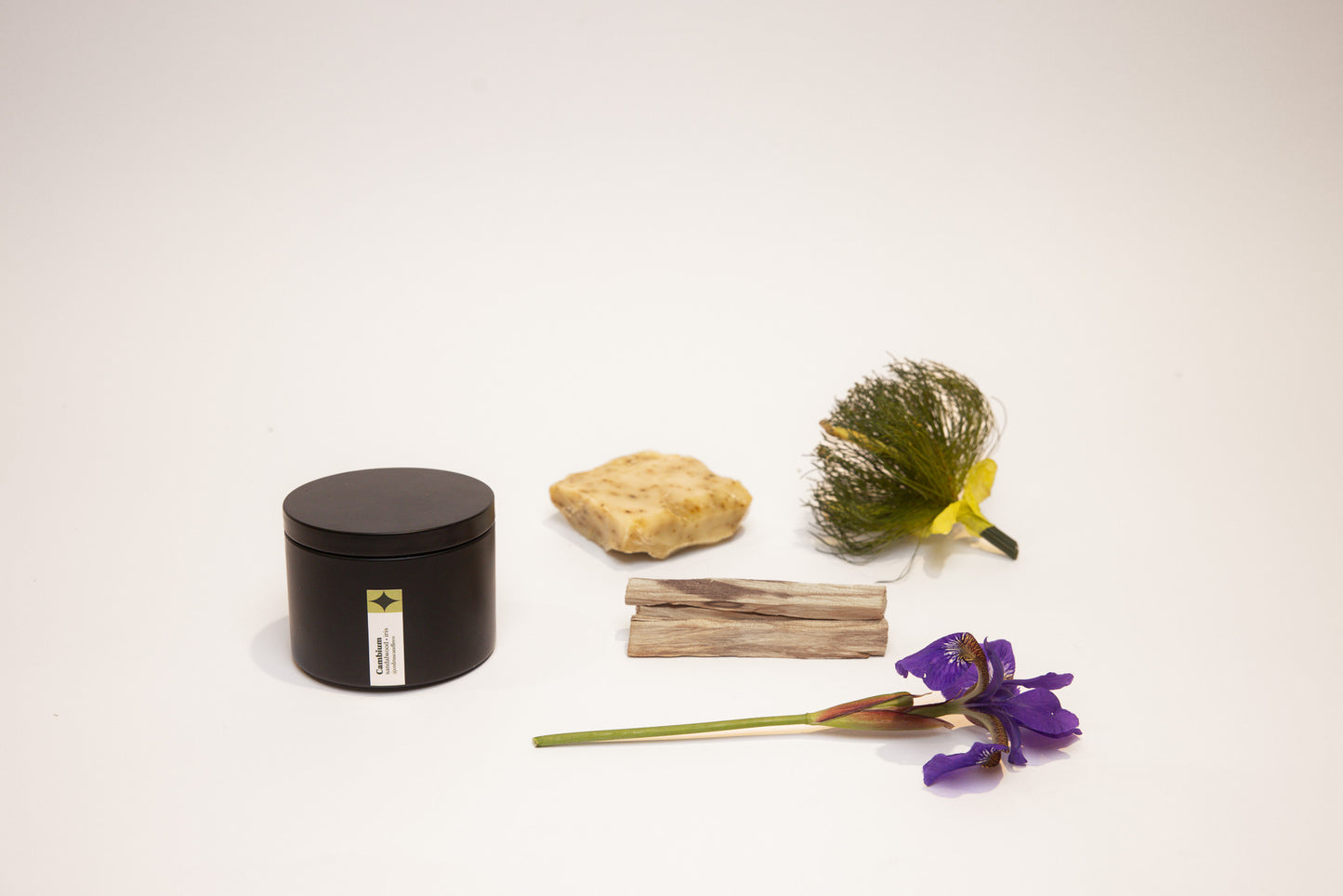 Cambium